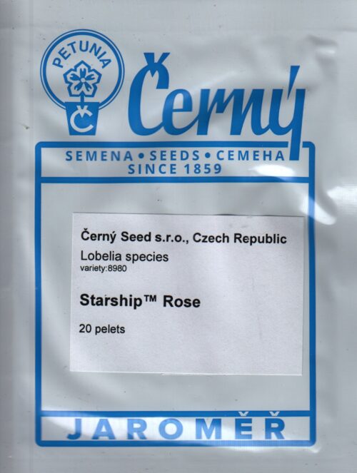 Eriline lobeelia "Starship Rose" - Image 2