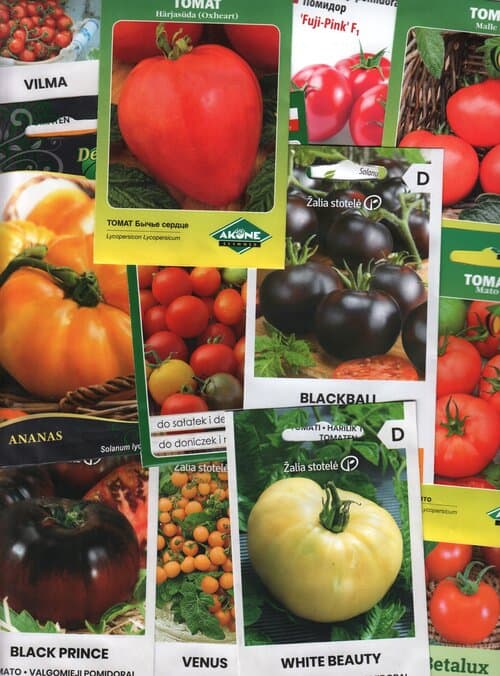 Kinkekomplekt tomatisõbrale - 15 pakki erinevaid tomatiseemneid ja kinkekott!