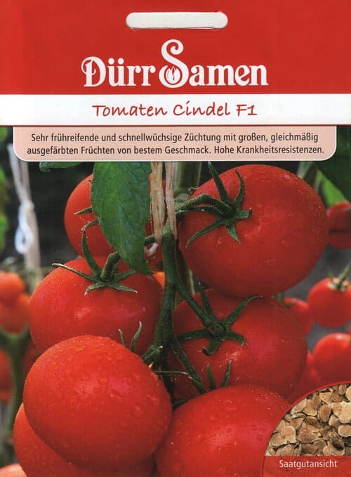 Tomat "Cindel" F1