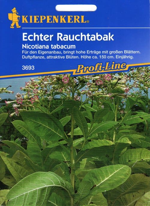 Vääristubakas, Virgiinia tubakas