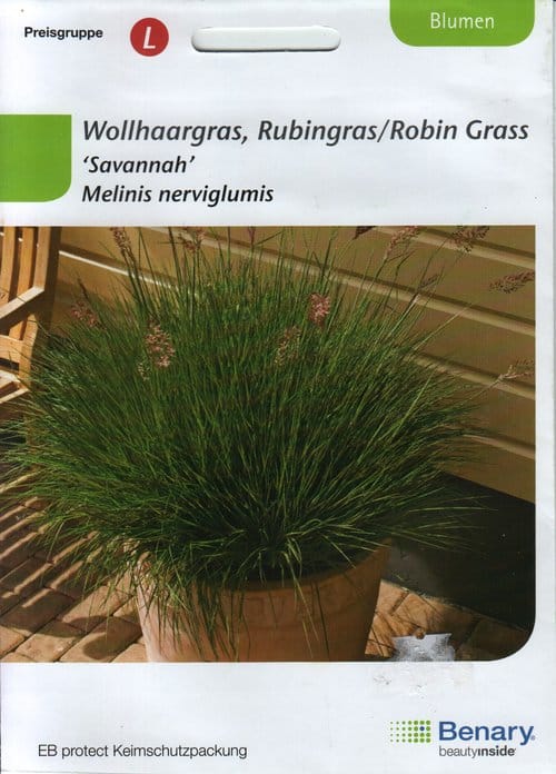 Natali magushein "Savannah"