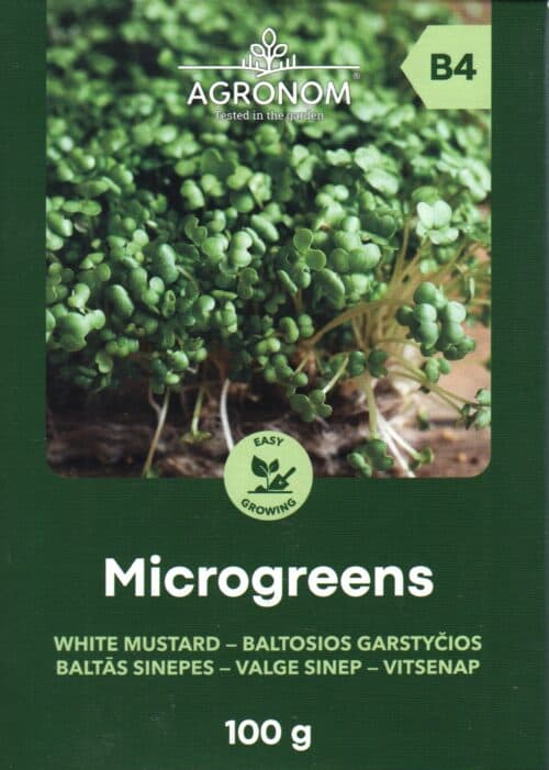 Valge sinep - microgreens   100 grammi