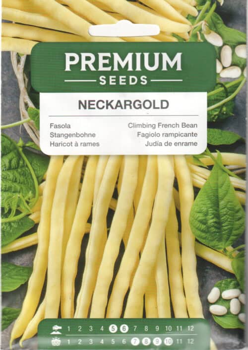 Lattuba "Neckargold"
