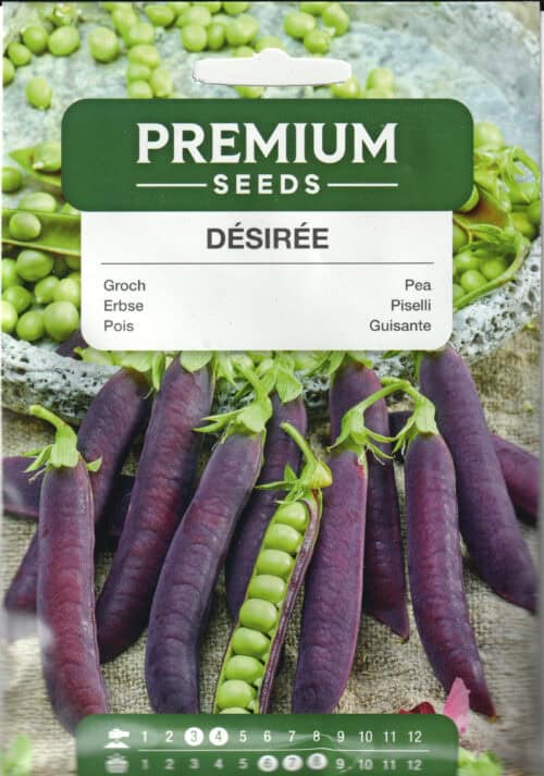 Aedhernes "Desiree"