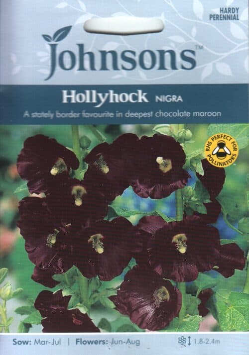 Aed-tokkroos "Nigra"