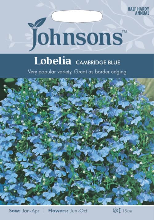 Lobeelia "Cambridge Blue"