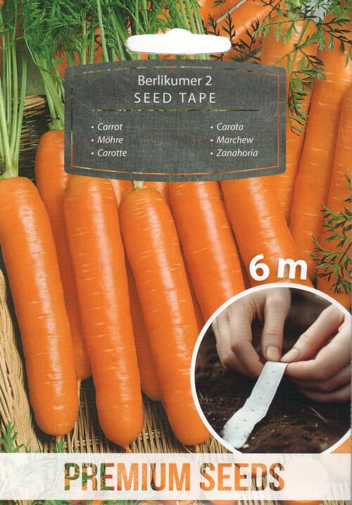 Porgand "Berlikumer 2" - lindil 6 meetrit