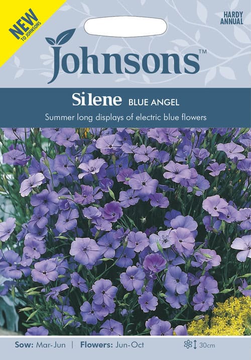 Kaunis põisrohi "Blue Angel"