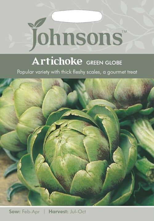 Artišokk "Green Globe"