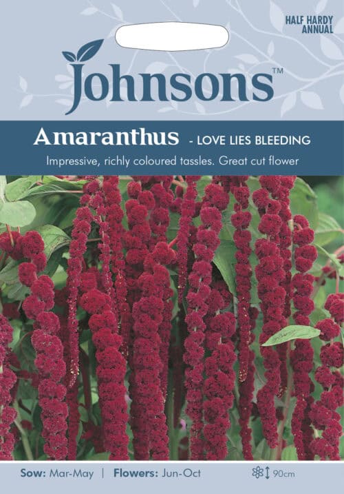 Longus rebashein "Love Lies Bleeding"