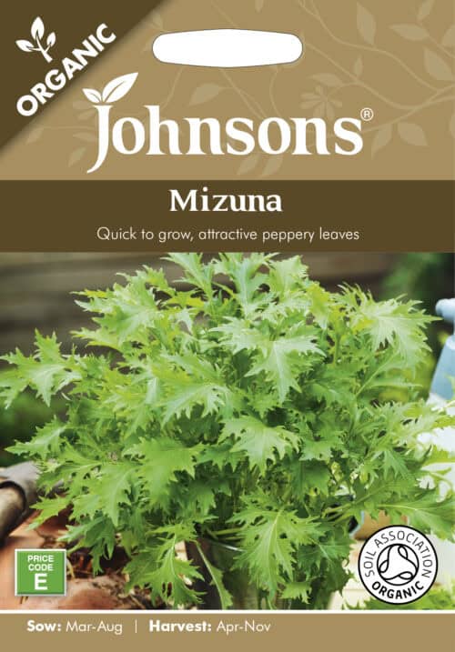 Misuuna ehk jaapani lehtnaeris "Mizuna"