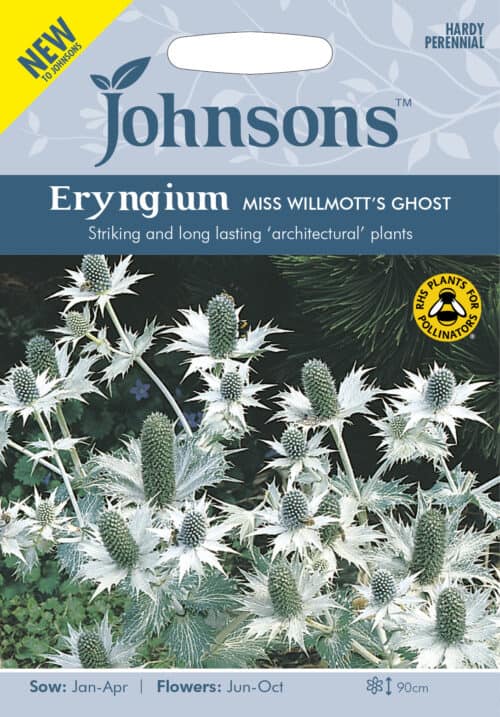 Hiid-ogaputk  "Miss Willmott`s Ghost"