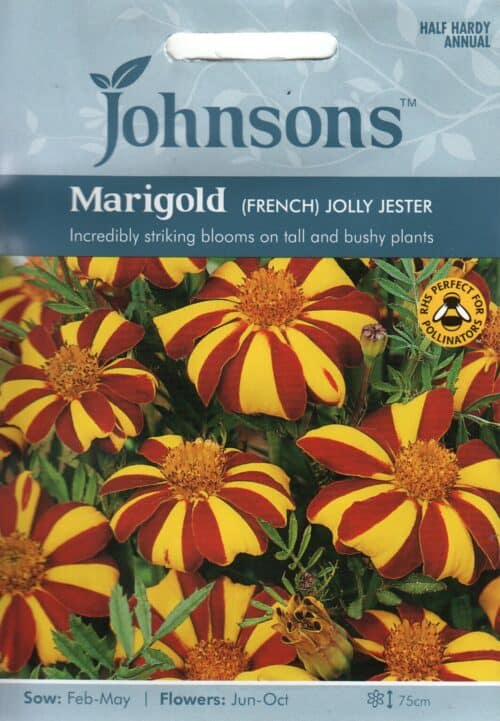 Peiulill "Jolly Jester"