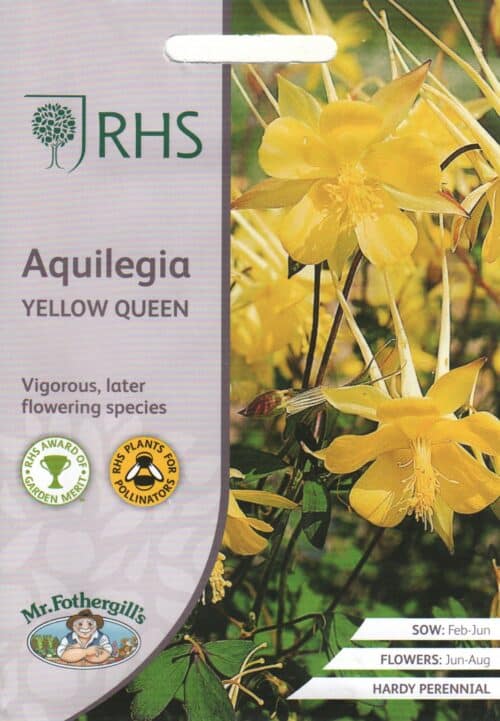 Kuldkollane kurekell "Yellow Queen"