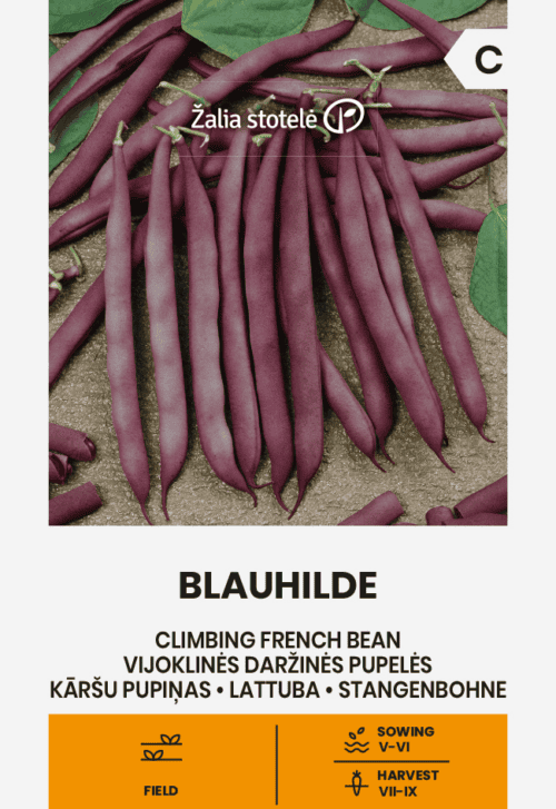 Lattuba "Blauhilde"