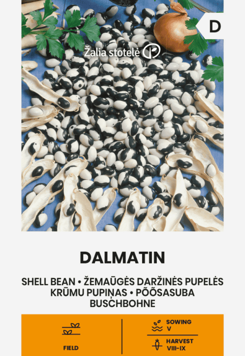 Aeduba "Dalmatin"