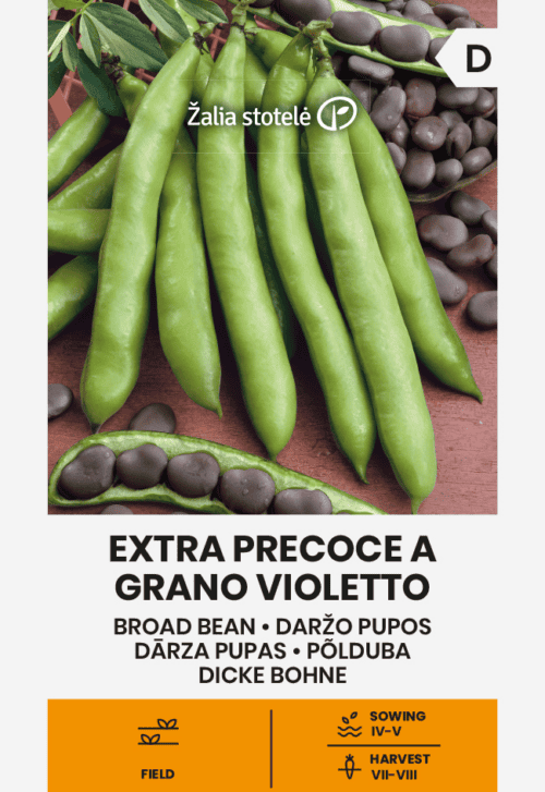 Põlduba "Extra Precoce a Grano Violetto"