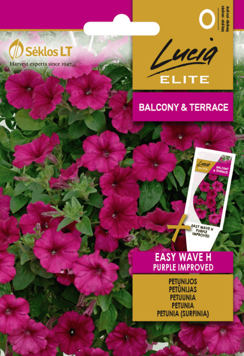 Ripp-petuunia "Easy Wave Purple" F1