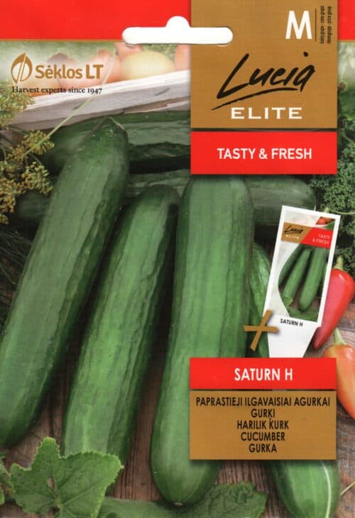 Kasvuhoonekurk "Saturn" F1