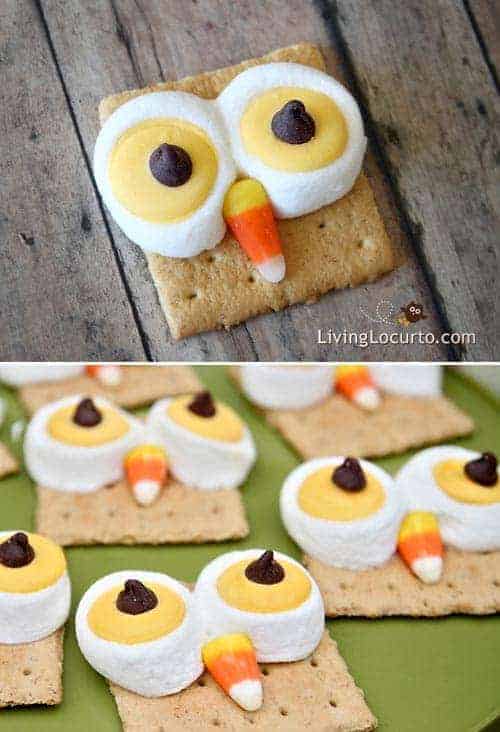 Cute Owl S'mores treats are a HOOT to make! Easy recipe for S'mores that look like owls! Fun food idea for Halloween, Thanksgiving or any birthday party. Recipe by LivingLocurto.com