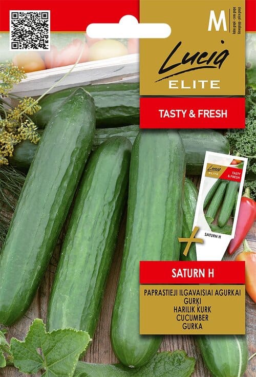 Kasvuhoonekurk "Saturn" F1