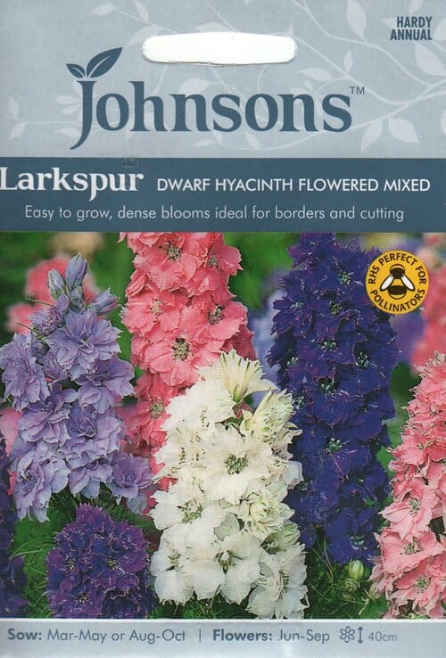 Aed-varesjalg "Dwarf Hyacinth Flowered"