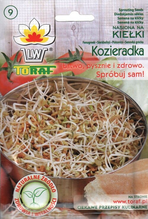 Seemned idandamiseks - põld-lambalääts