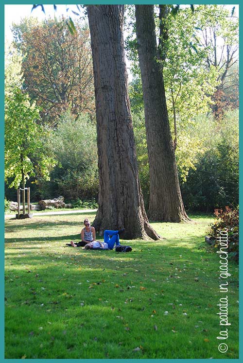 Il Vondelpark è tra le dieci cose da non perdere a Amsterdam Il Vondelpark è tra le dieci cose da non perdere a Amsterdam