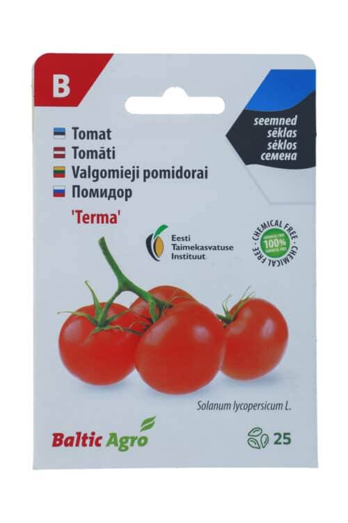 Tomat "Terma"