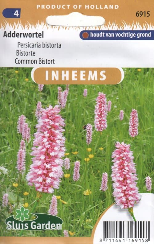 Harilik ussitatar "Adderwortel"