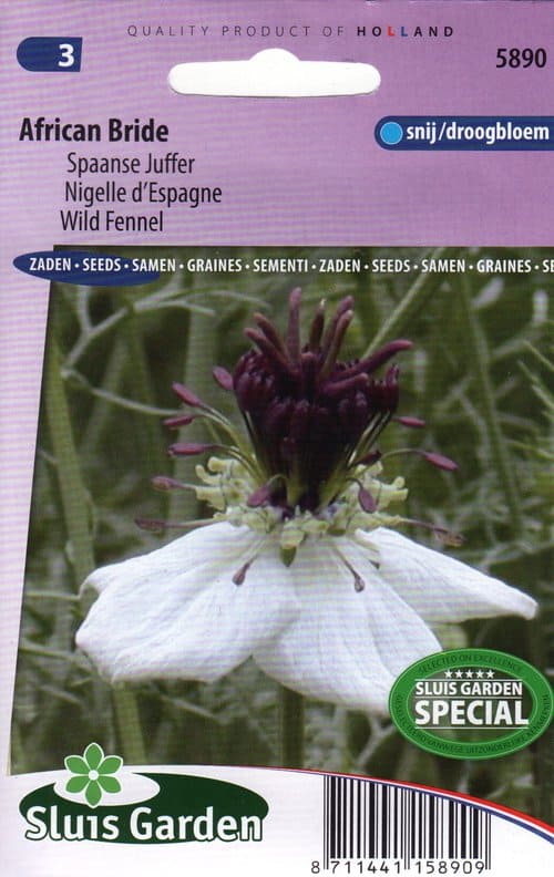 Näsa-mustköömen "African Bride"