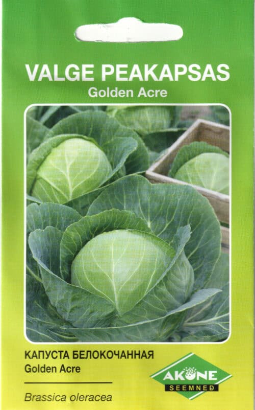 Valge peakapsas "Golden Acre"