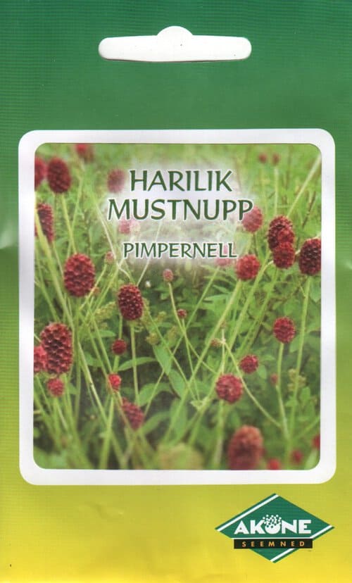 Harilik mustnupp "Pimpernell"