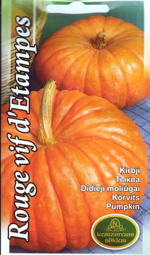 Kõrvits "Rouge VIF d'Etampes"