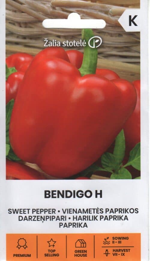 Paprika "Bendigo" F1