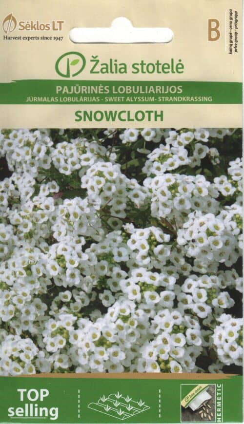 Rand-kivikilbik "Snowcloth"