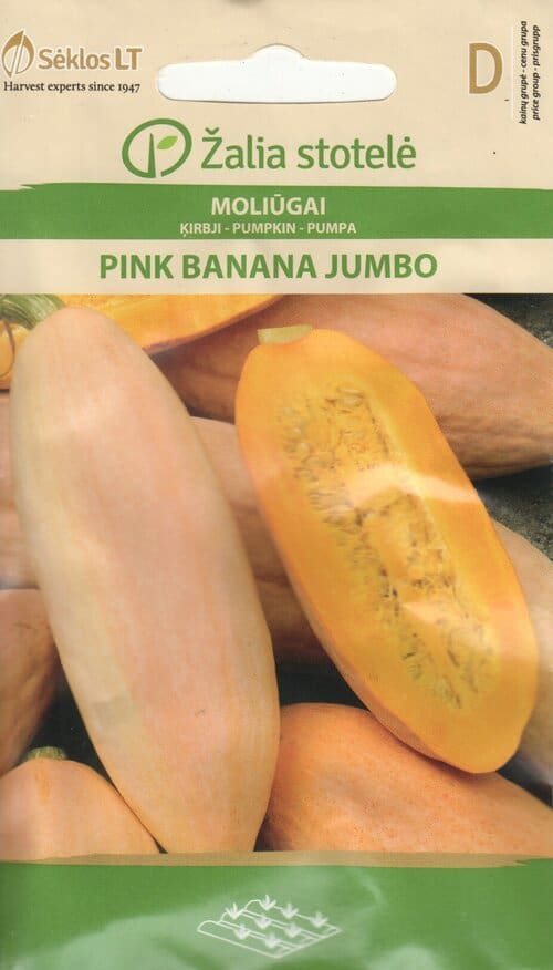 Kõrvits "Pink Banana Jumbo"