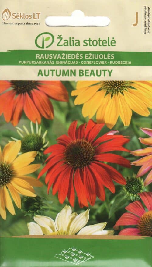 Punane siilkübar "Autumn Beauty"
