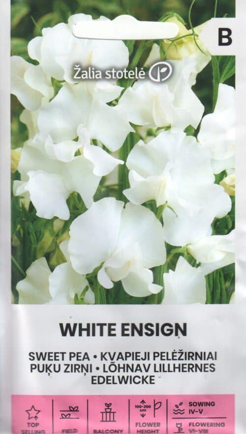 Lõhnav lillhernes "White Ensign"