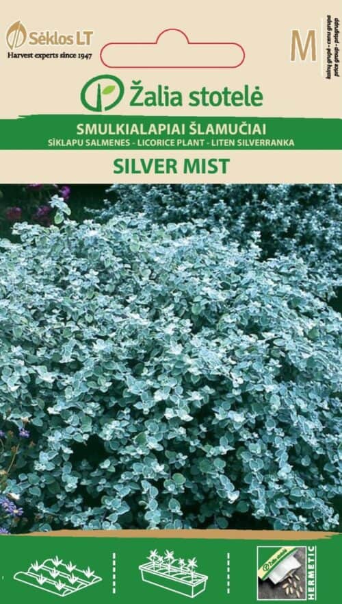 Ahtalehine käokuld "Silver Mist"