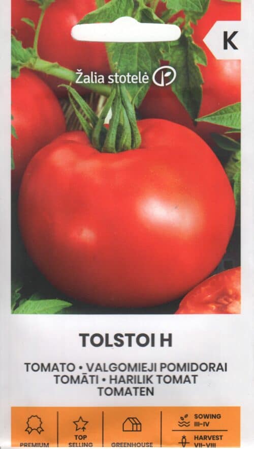 Tomat "Tolstoi" F1