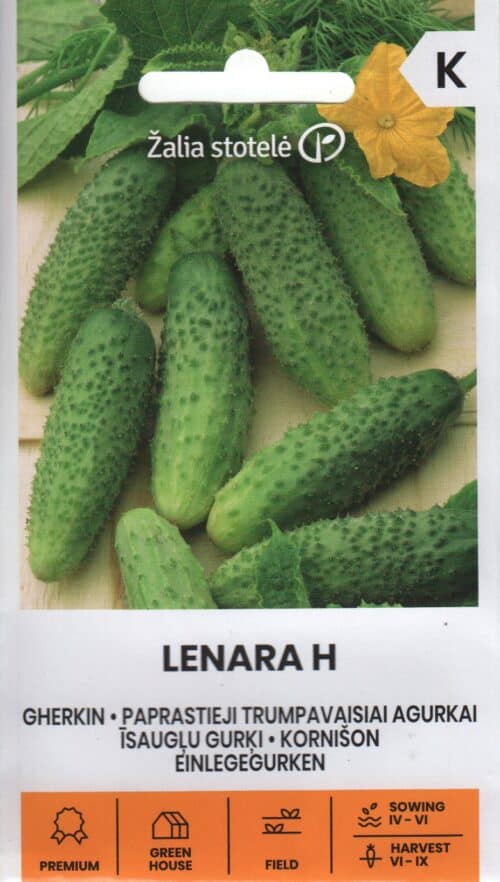 Avamaakurk "Lenara" F1
