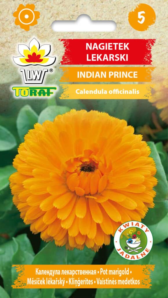 Saialill "Indian Prince"