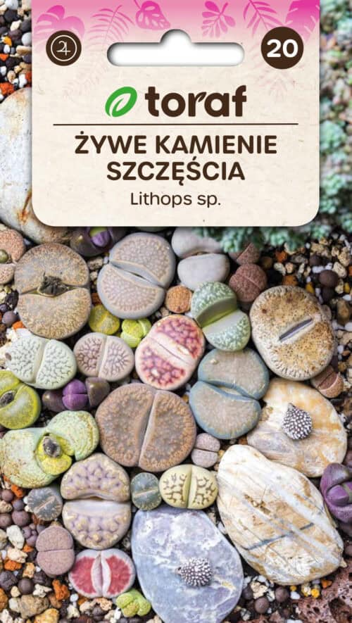 Kivilehik "Living Stones" - elavad kivid