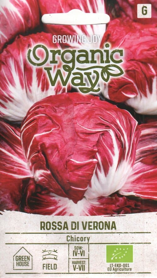 Harilik sigur "Rossa di Verona"