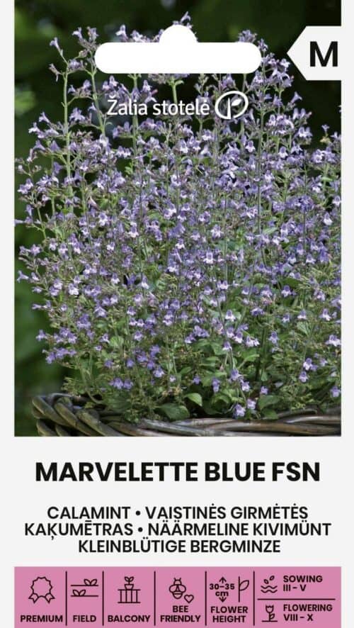Näärmeline kivimünt "Marvelette Blue FSN"