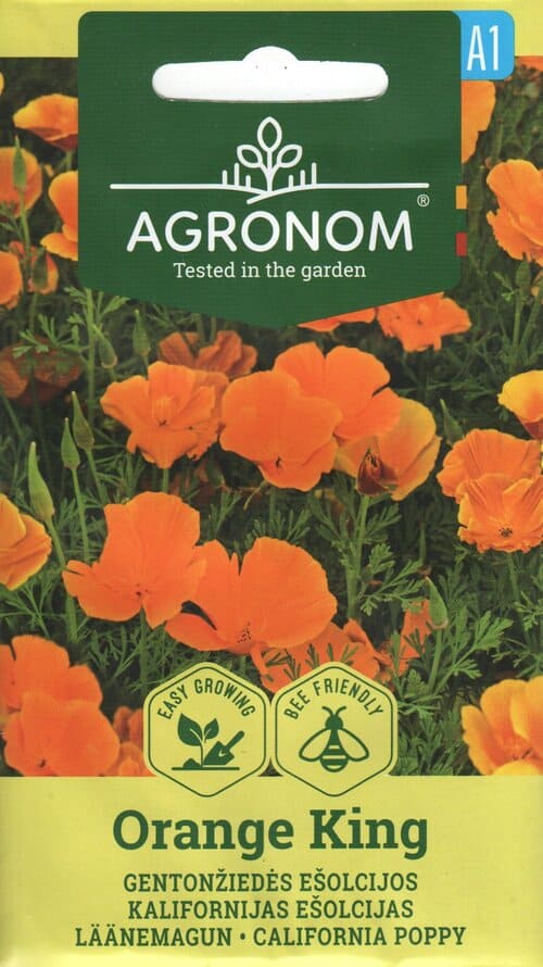 Kalifornia läänemagun "Orange King"