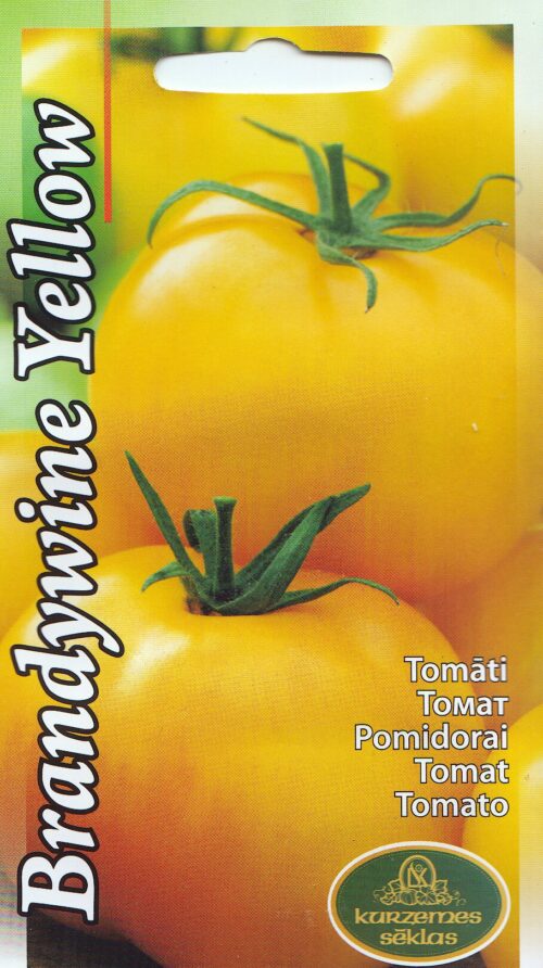Tomat "Brandywine Yellow"