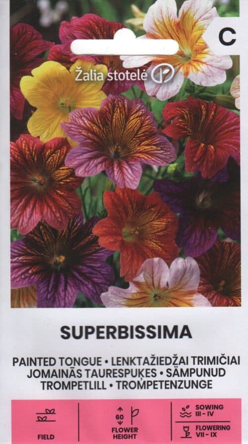 Sämpunud trompetlill "Superbissima"