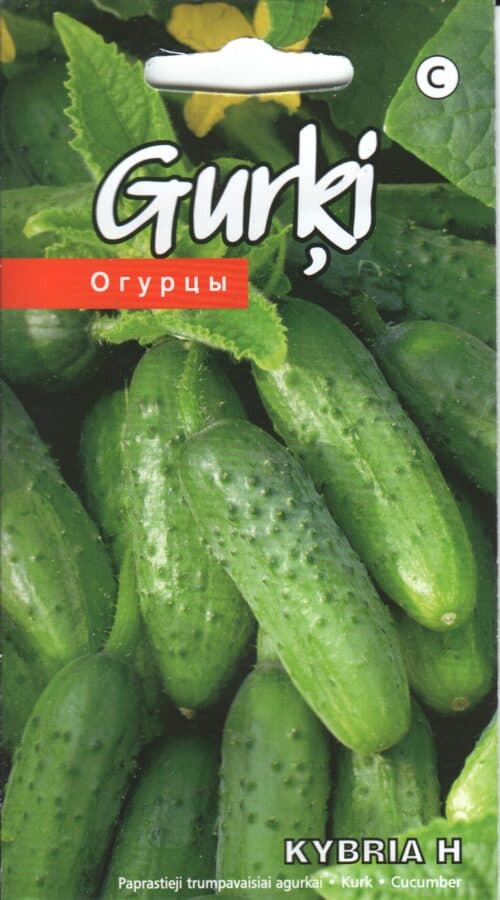 Avamaakurk "Kybria" F1